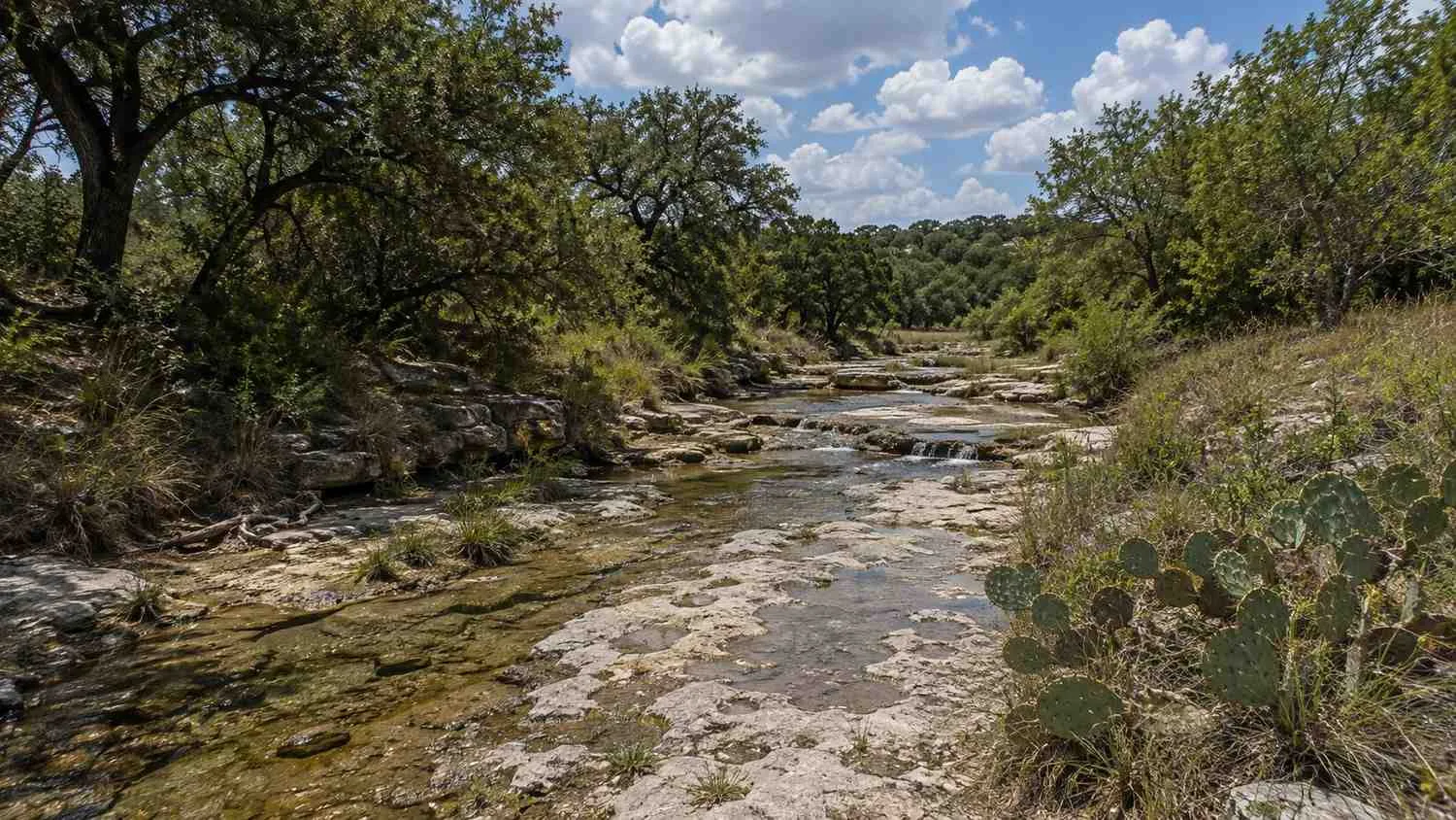Intermittent stream in Hays County Texas for TPDES receiving water evaluation.