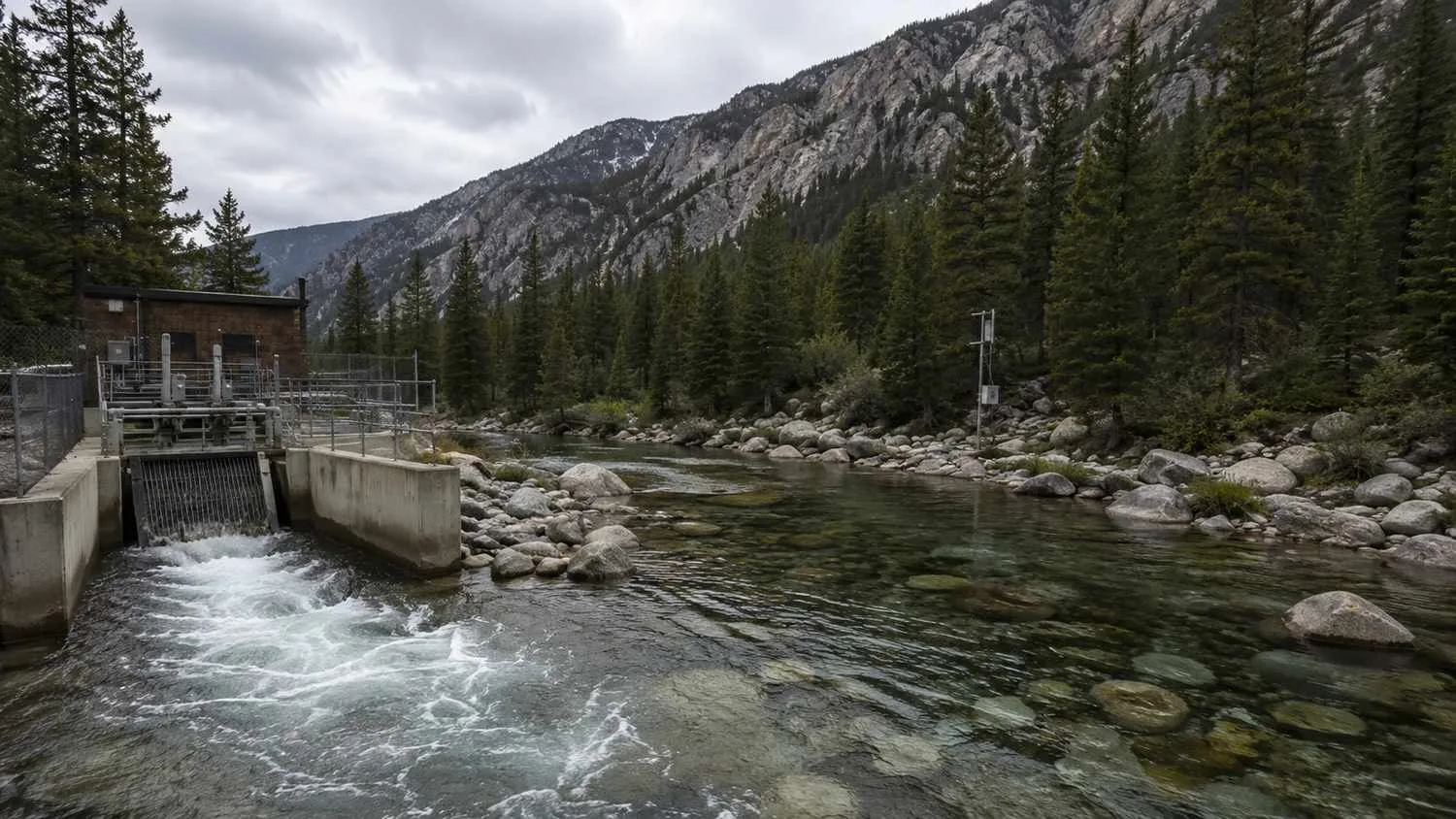 Treated wastewater outfall discharging to a Colorado mountain creek under a CDPS permit showing the receiving water context that drives effluent limit stringency.