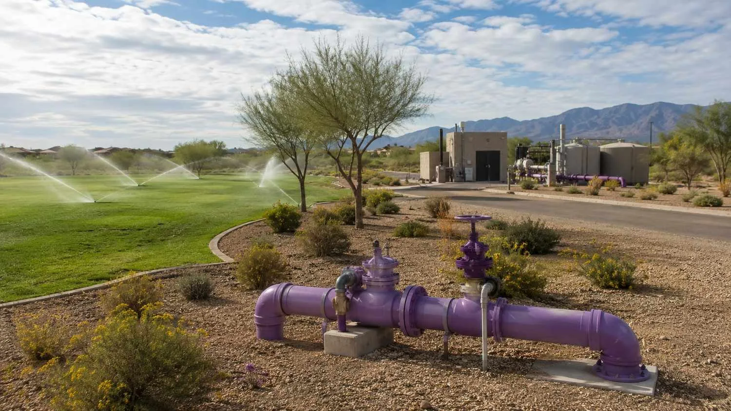 Reclaimed water irrigation in Arizona