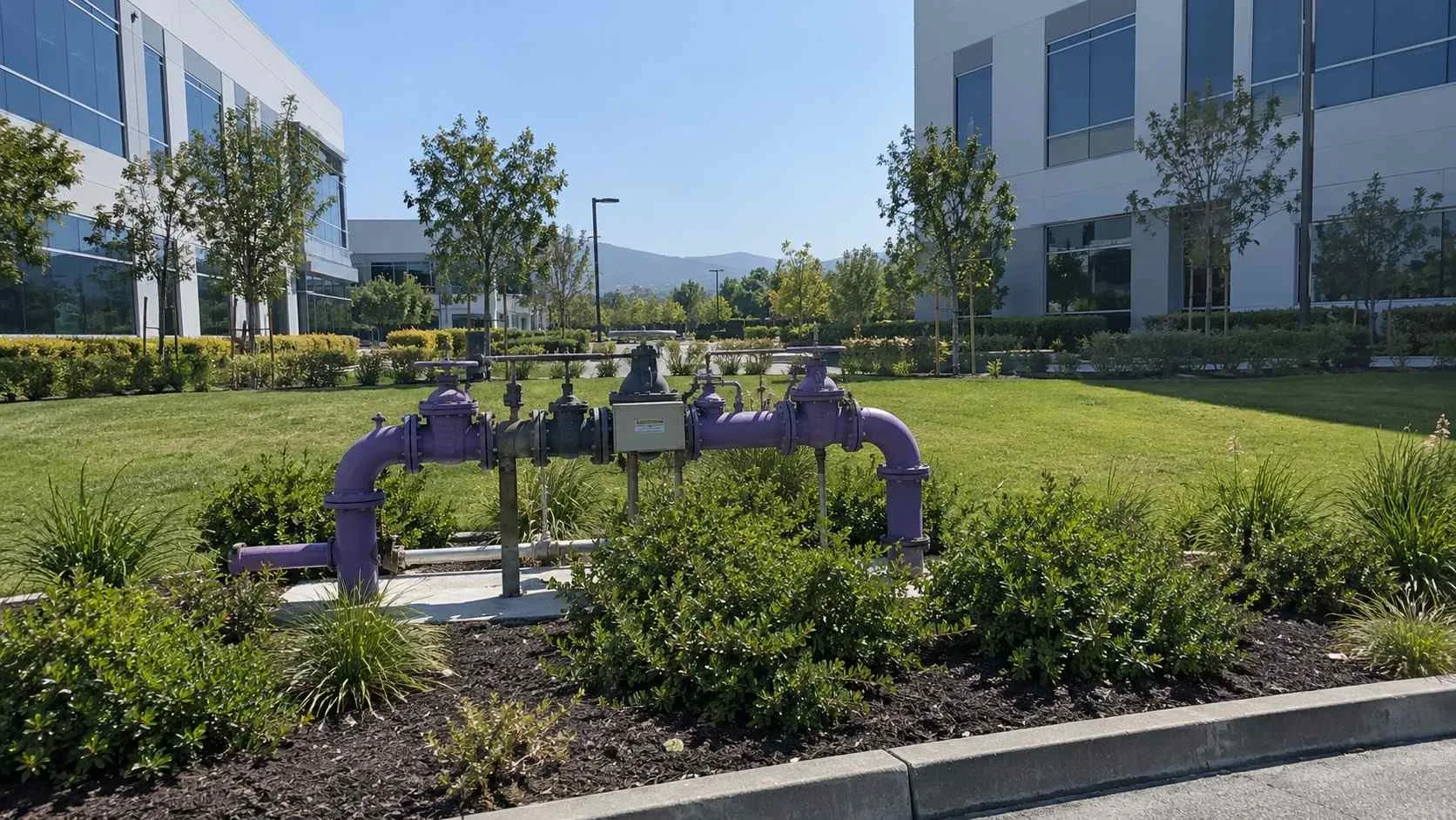 Shared recycled water connection between two business park buildings